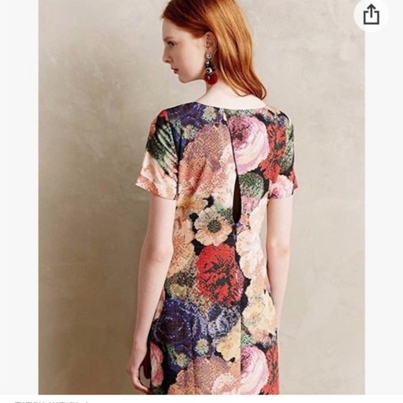 Ranna Gill Women's Fanned Vignette Shift Dress - Picture 2 of 12